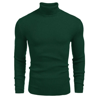 New Men's Turtleneck Sweaters Solid Long Sleeve Knitted Warm Pullovers Casual Slim High Neck Sweater Autumn Winter Knitwear Tops