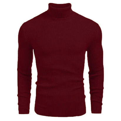 New Men's Turtleneck Sweaters Solid Long Sleeve Knitted Warm Pullovers Casual Slim High Neck Sweater Autumn Winter Knitwear Tops