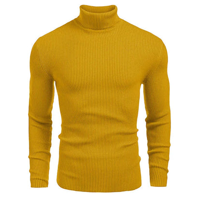 New Men's Turtleneck Sweaters Solid Long Sleeve Knitted Warm Pullovers Casual Slim High Neck Sweater Autumn Winter Knitwear Tops