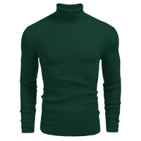 New Men's Turtleneck Sweaters Solid Long Sleeve Knitted Warm Pullovers Casual Slim High Neck Sweater Autumn Winter Knitwear Tops