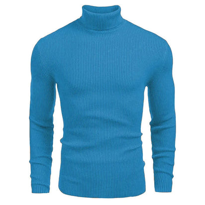 New Men's Turtleneck Sweaters Solid Long Sleeve Knitted Warm Pullovers Casual Slim High Neck Sweater Autumn Winter Knitwear Tops